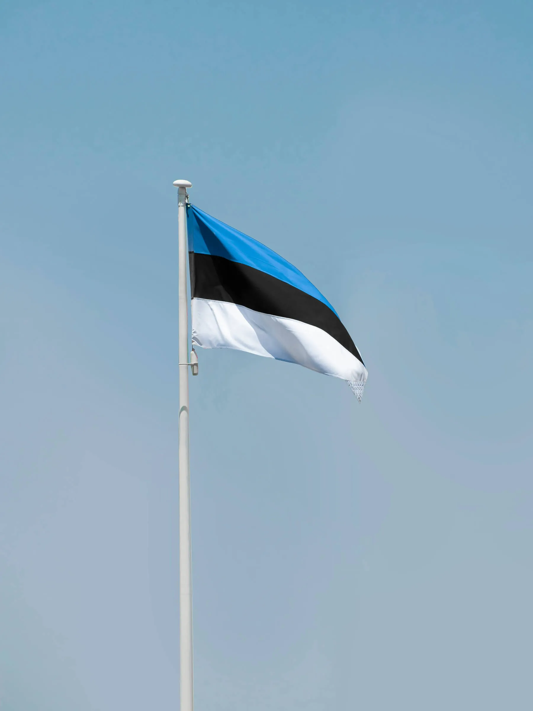 Digital Lawyers service Estonia flag