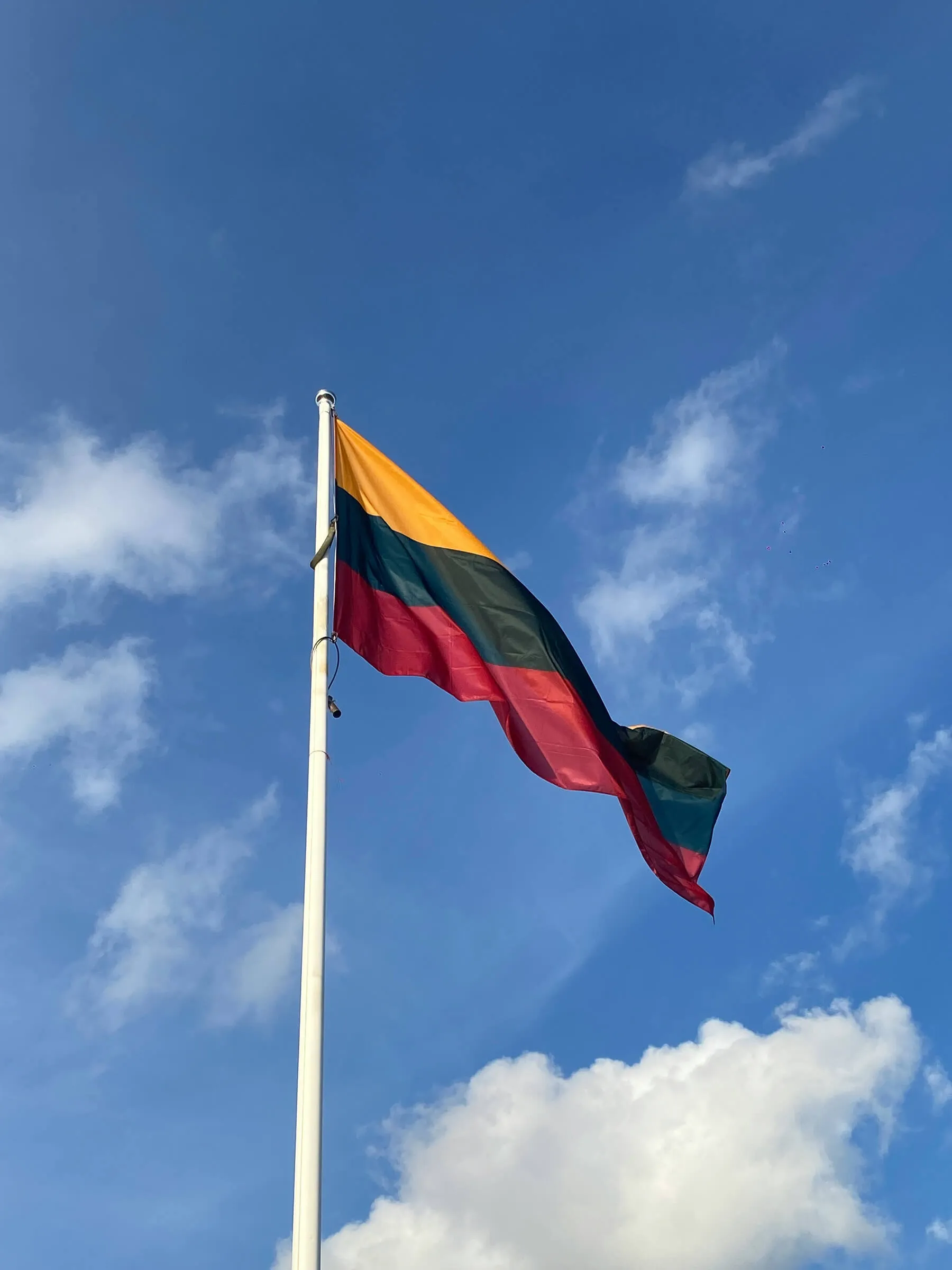 Digital Lawyers service Lithuania flag