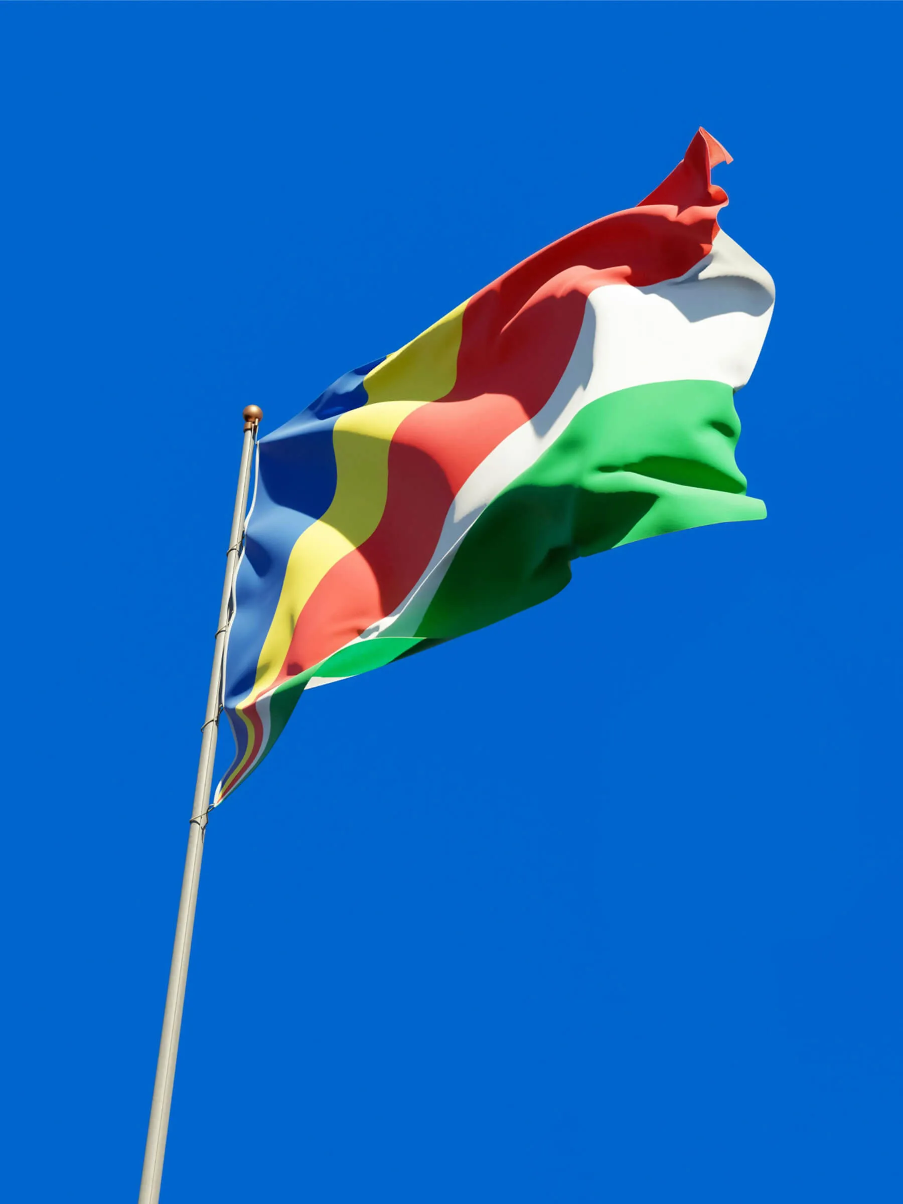 Digital Lawyers service Seychelles flag