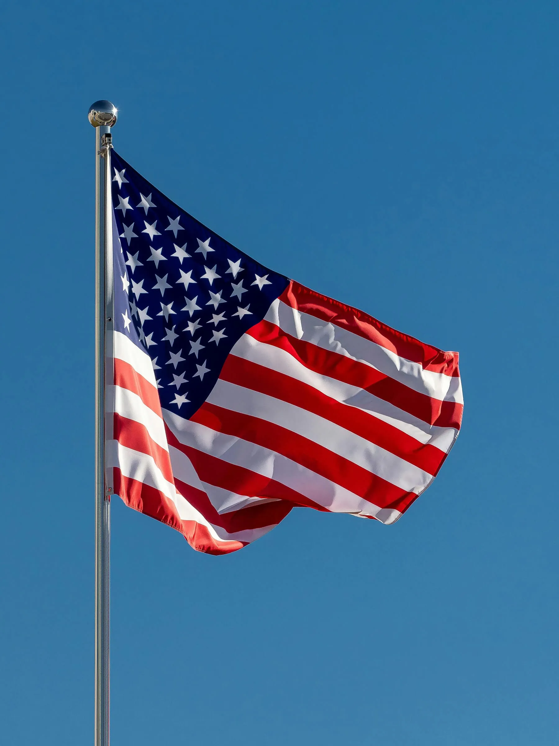 Digital Lawyers service flag United States (Delaware)